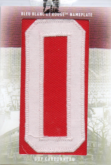Jere Lehtinen 06-07 Upper Deck SP Game Used Authentic Fabrics Jersey